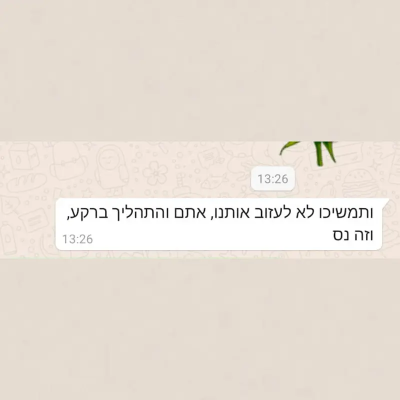 המלצת לקוח מספר 2 — הודעת וואטסאפ